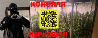 прущие грибы Азнакаево
