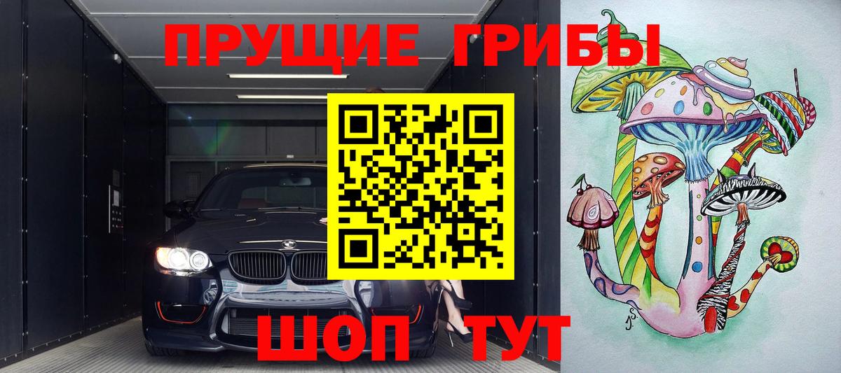 Псилоцибиновые грибы мухоморы Алейск