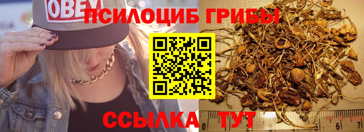 Галлюциногенные грибы ЛСД  Псилоцибиновые грибы Magic Shrooms  Алейск  продажа наркотиков  Вход с VPN 